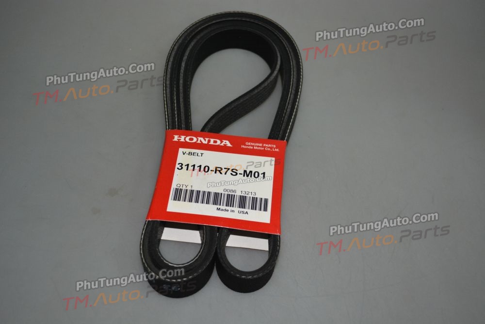 Dây curoa tổng Honda Crv 2.4